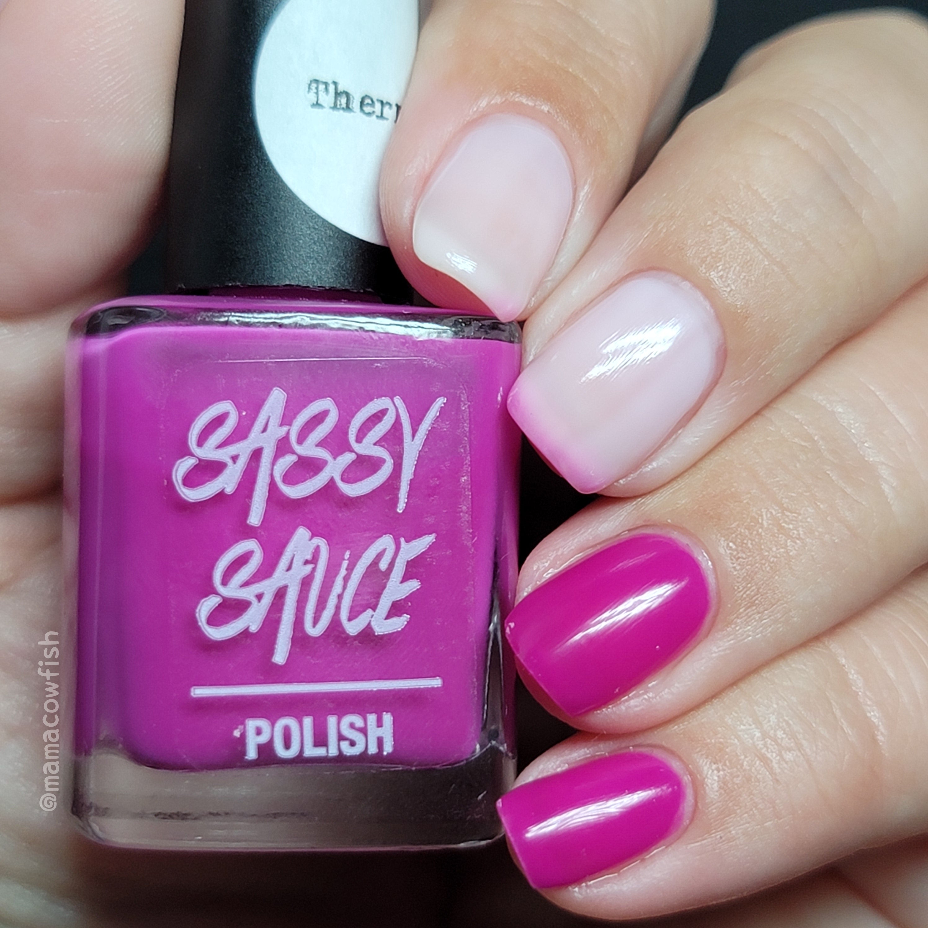 Sassy Sauce Polish | Insta French