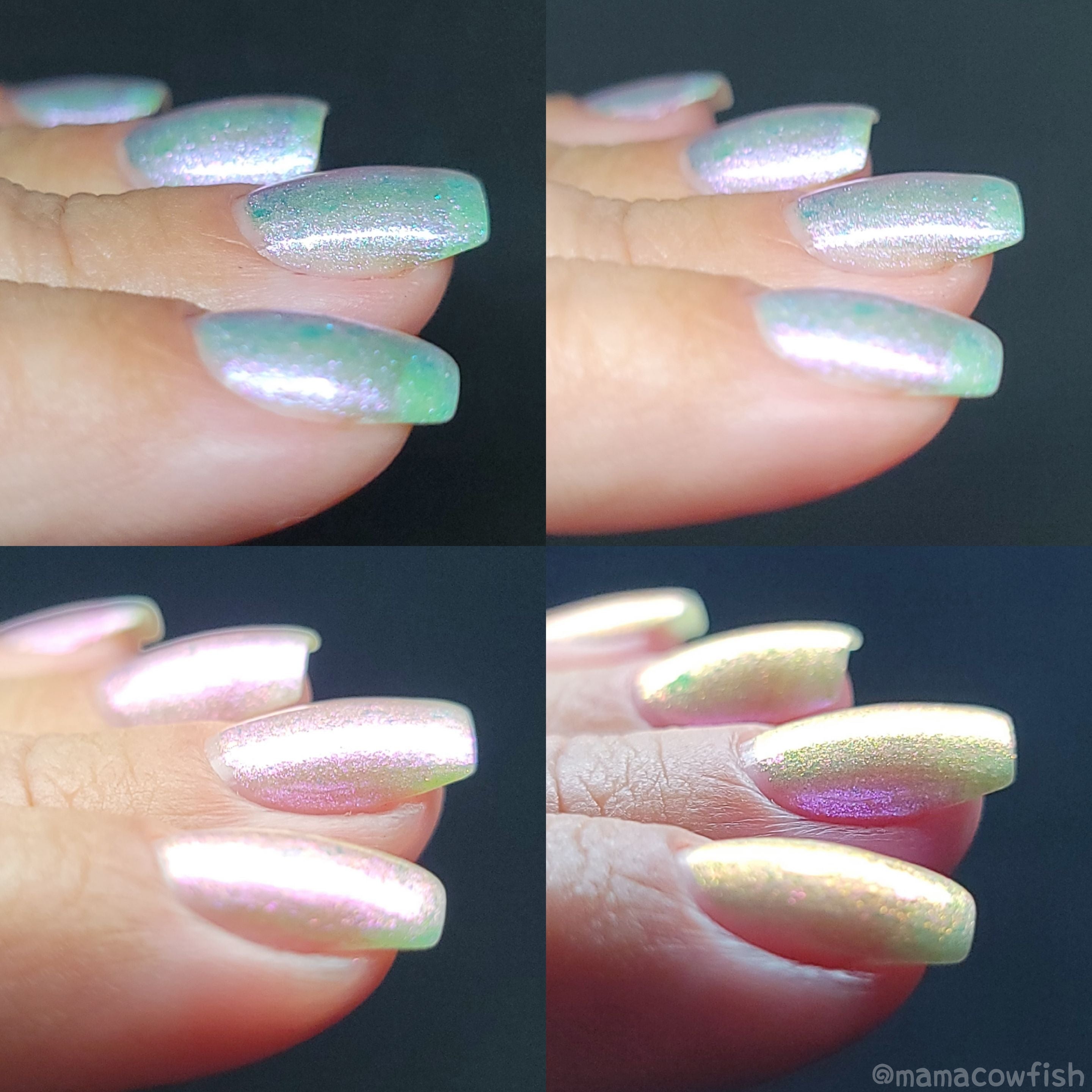 Sassy Sauce | Equinox