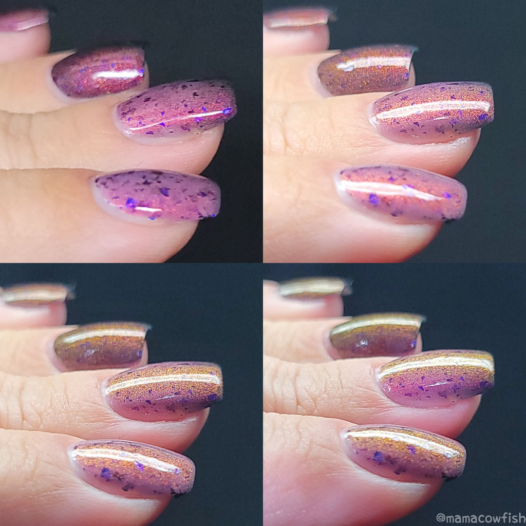 Sassy Sauce Polish | Hexcellent