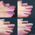 Sassy Sauce Polish | Hexcellent