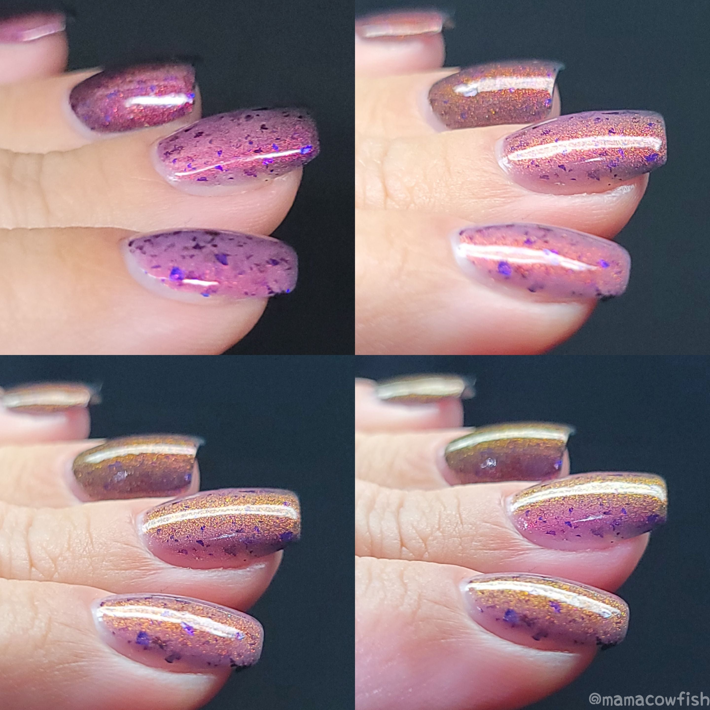 Sassy Sauce Polish | Hexcellent