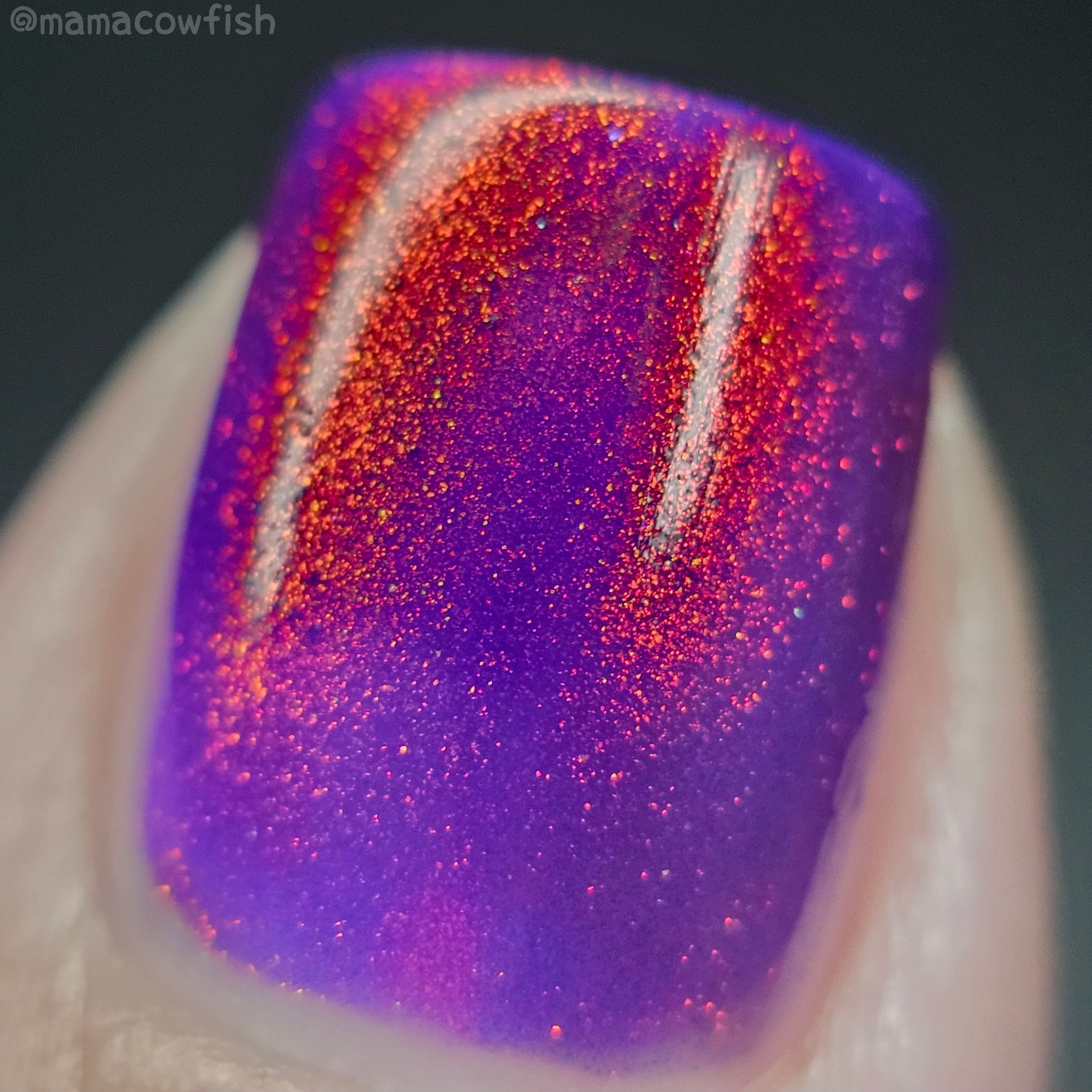 Sassy Sauce Polish | Cock a doodle Doom