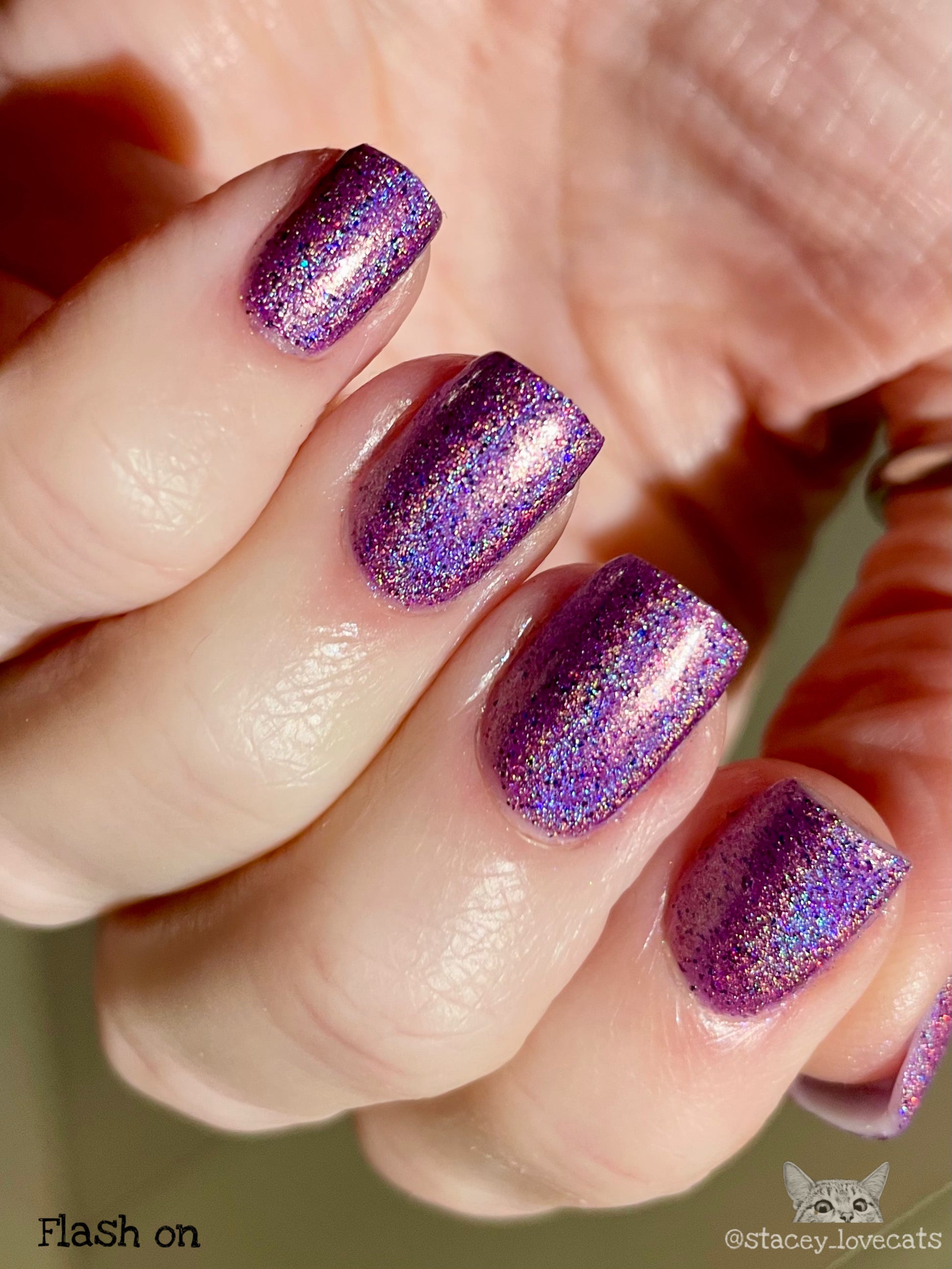 Sassy Sauce Polish | Fairy Static