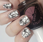 Sweet & Sour Lacquer | Black Velvet