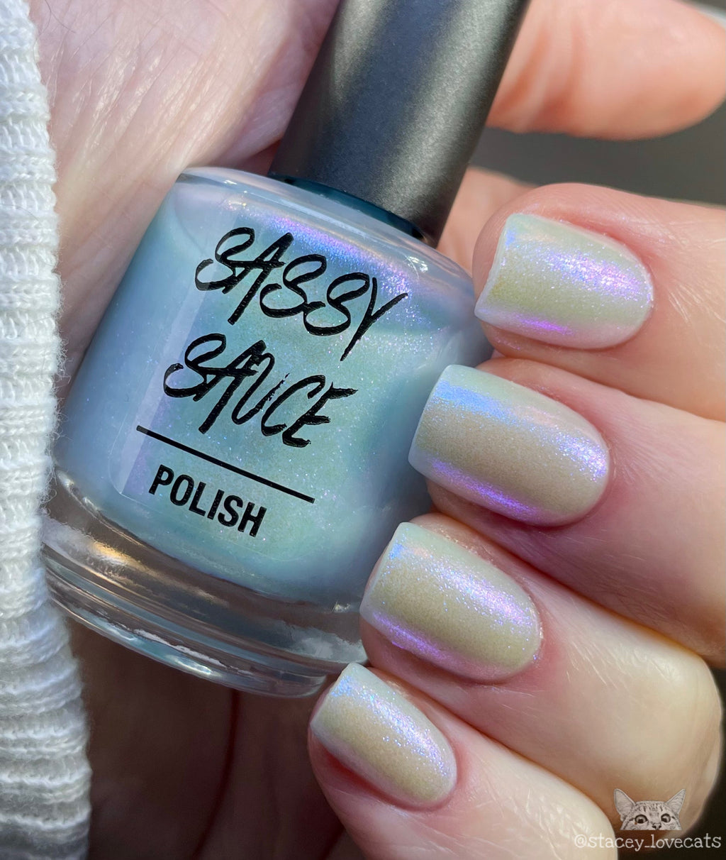 Sassy Sauce Polish | No More ICEHOLES
