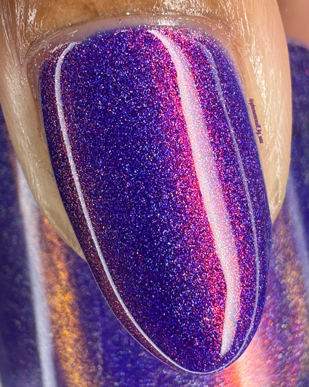 Sassy Sauce Polish | Dissimulation