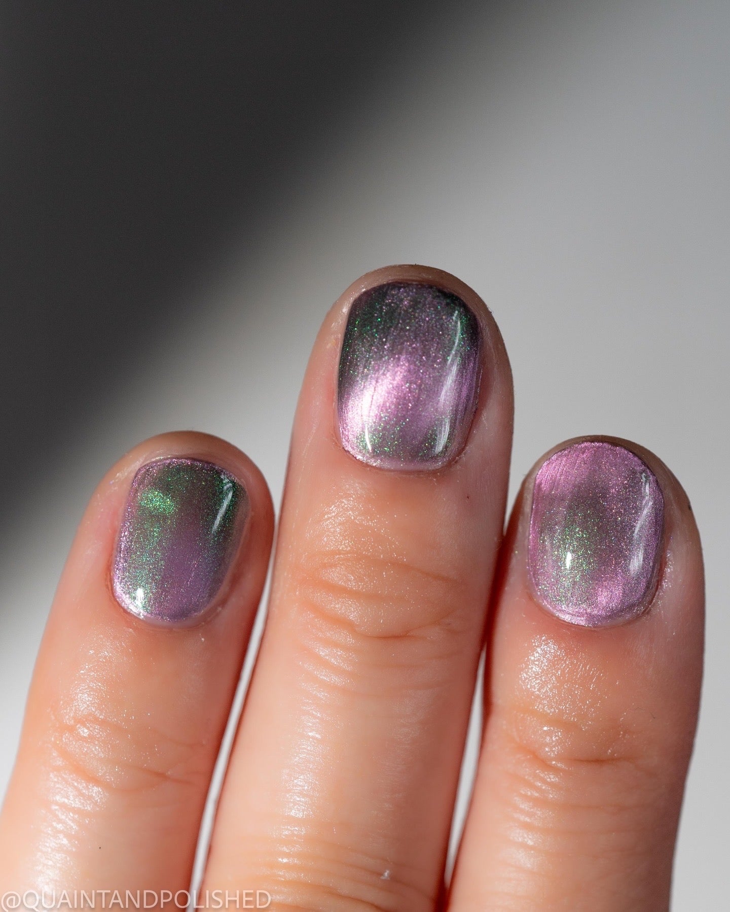 Haunted Polish | VENOM ROSE