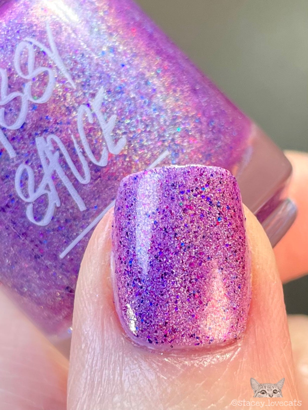 Sassy Sauce Polish | Fairy Static