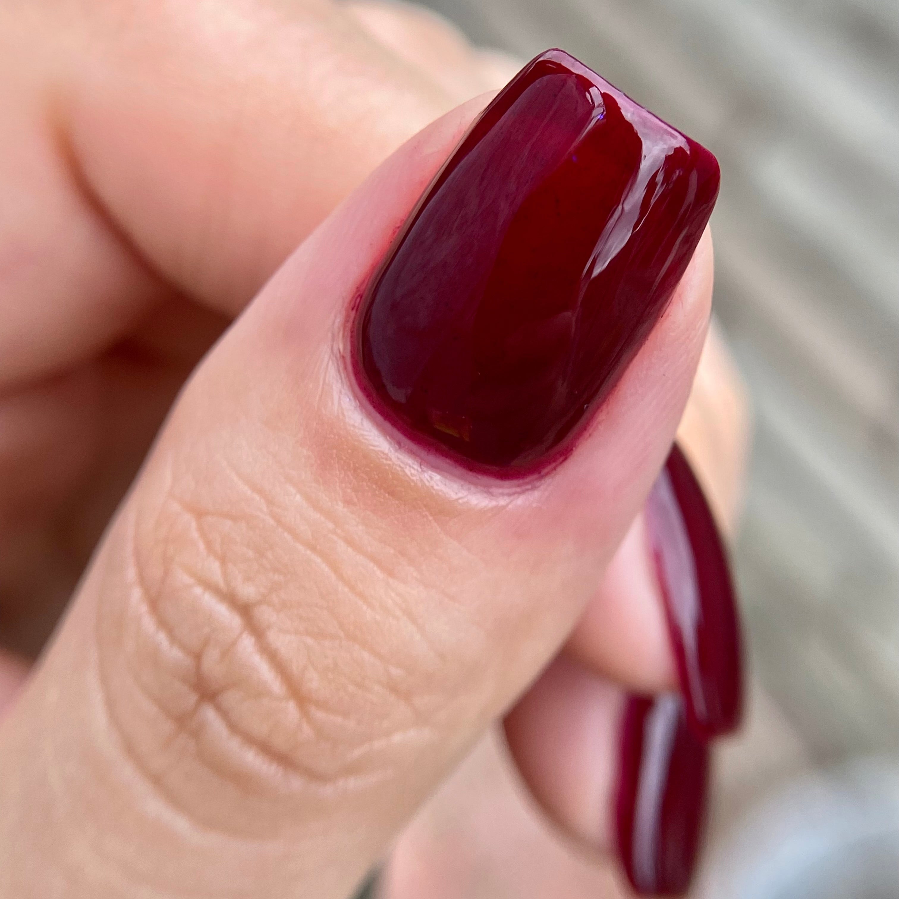 PI Colors | Black Plum.088