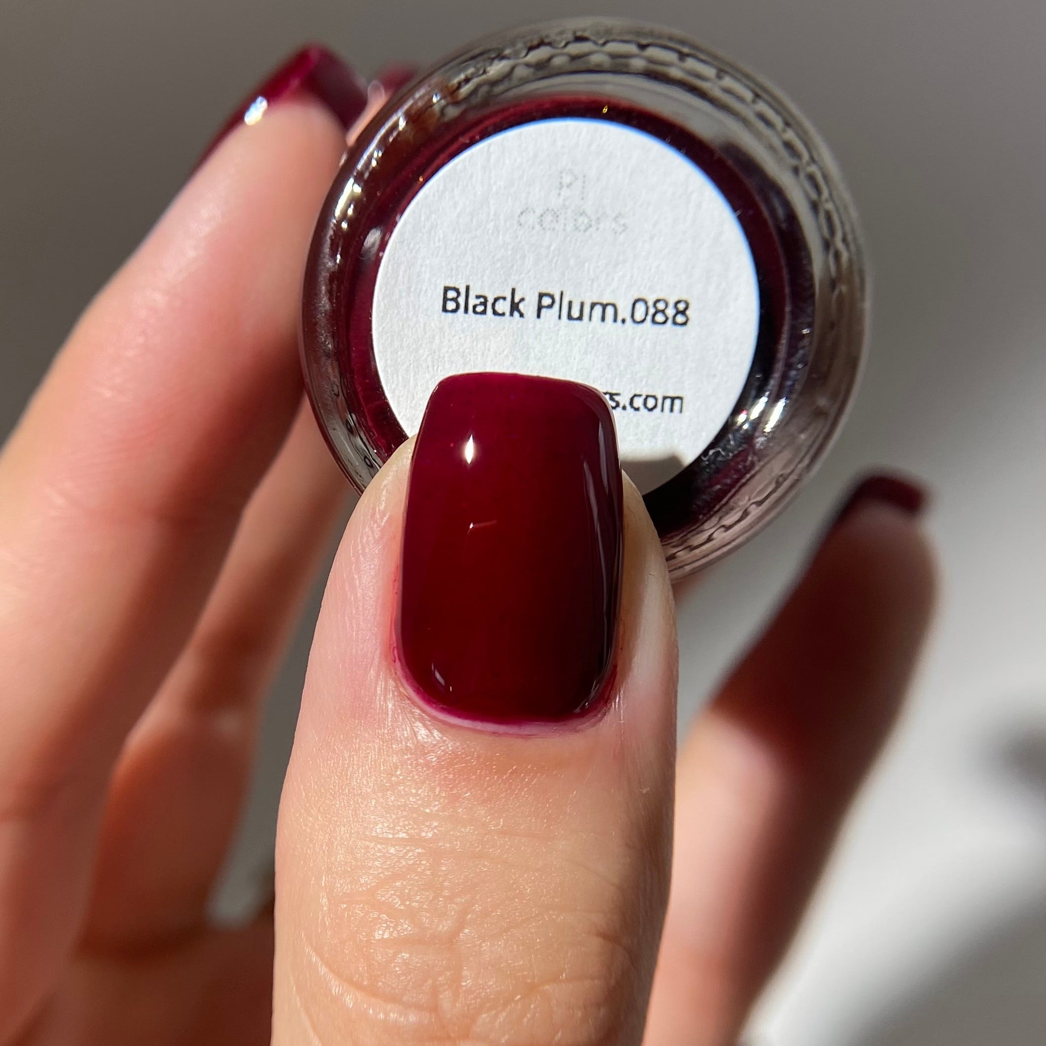 PI Colors | Black Plum.088