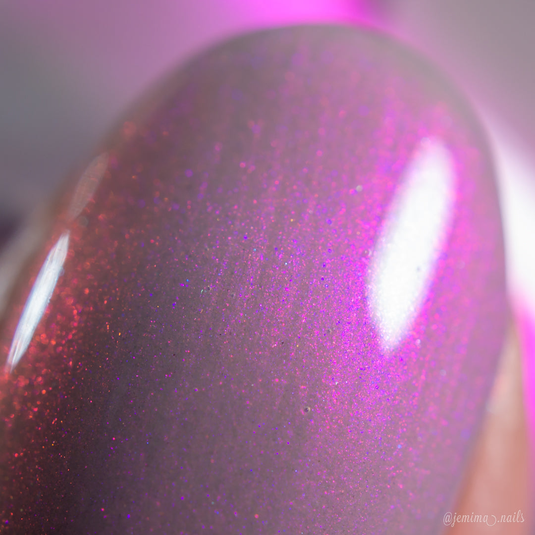 PI Colors | Chelonian in the Stars.000