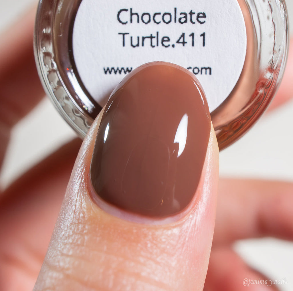 PI Colors | Chocolate Turtle.411