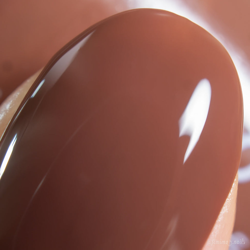 PI Colors | Chocolate Turtle.411