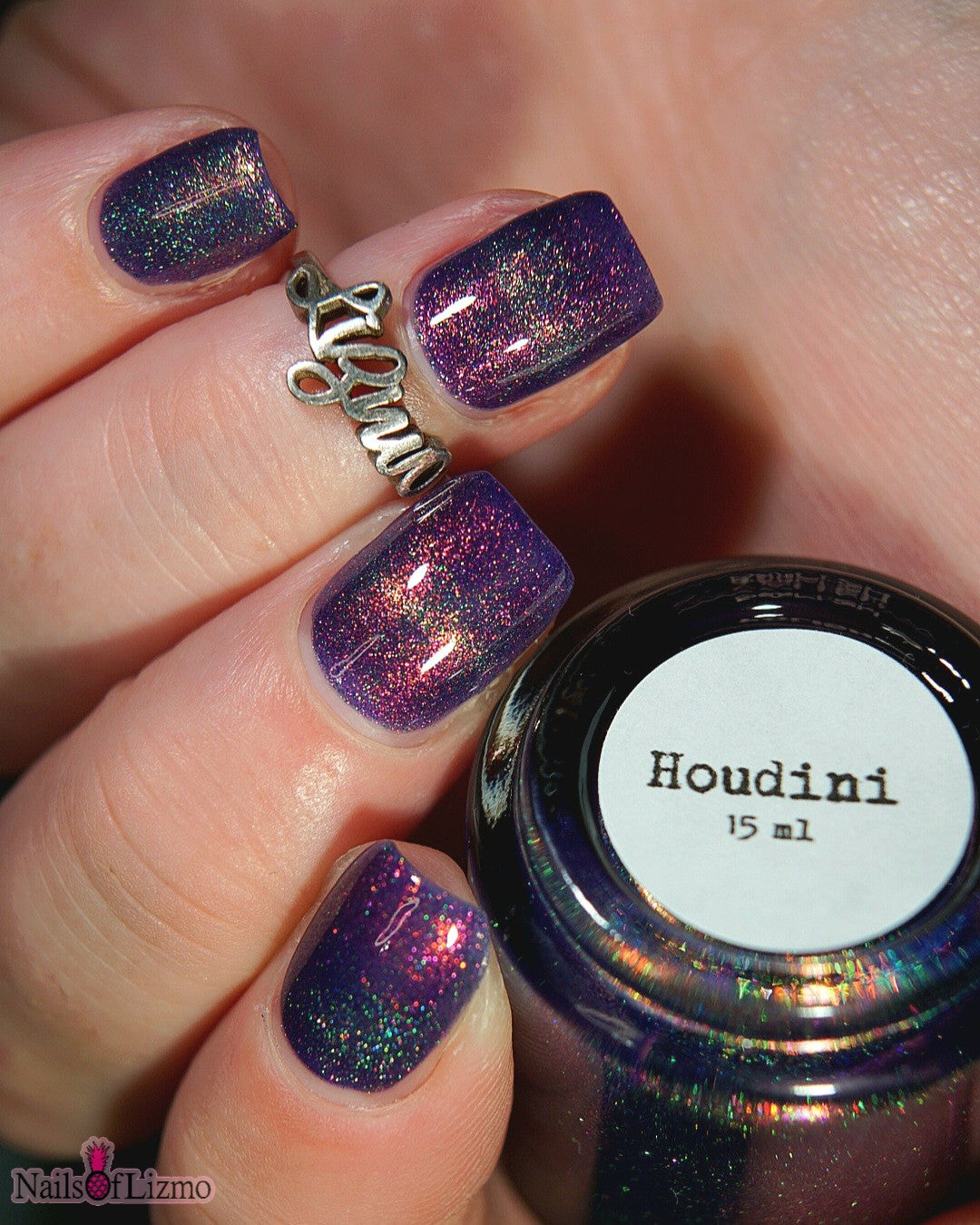 Sassy Sauce Polish | Houdini