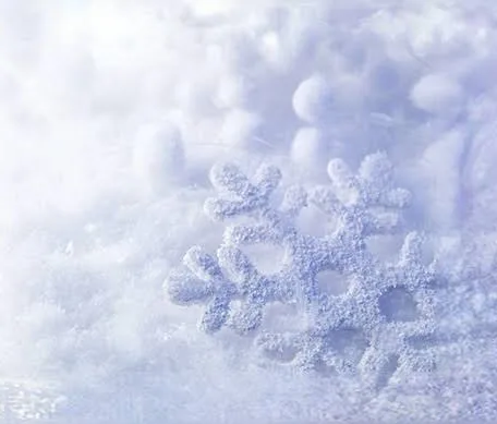 Sassy Sauce | Cuticle oil