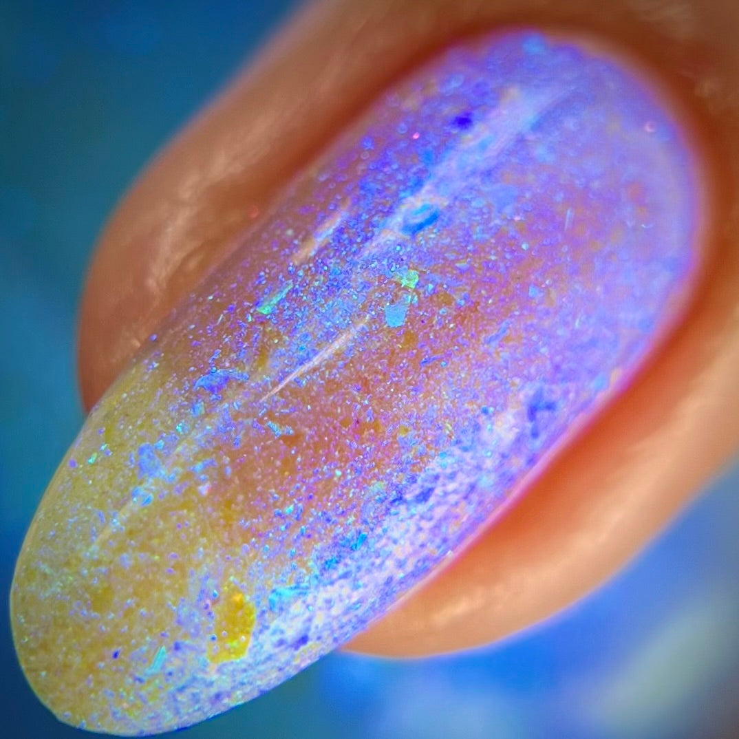 Sassy Sauce Polish | Shimmy Shake