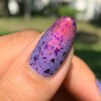 Sassy Sauce Polish | Hexcellent