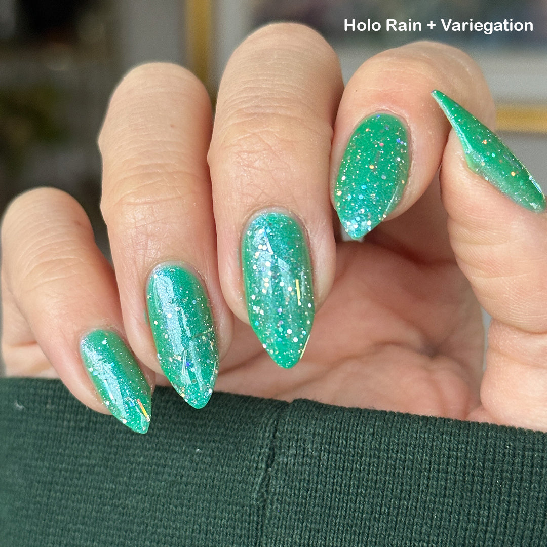 Sylvanclaw | Holo Rain