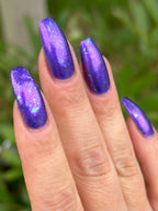 Sassy Sauce Polish | Northerly Island nights