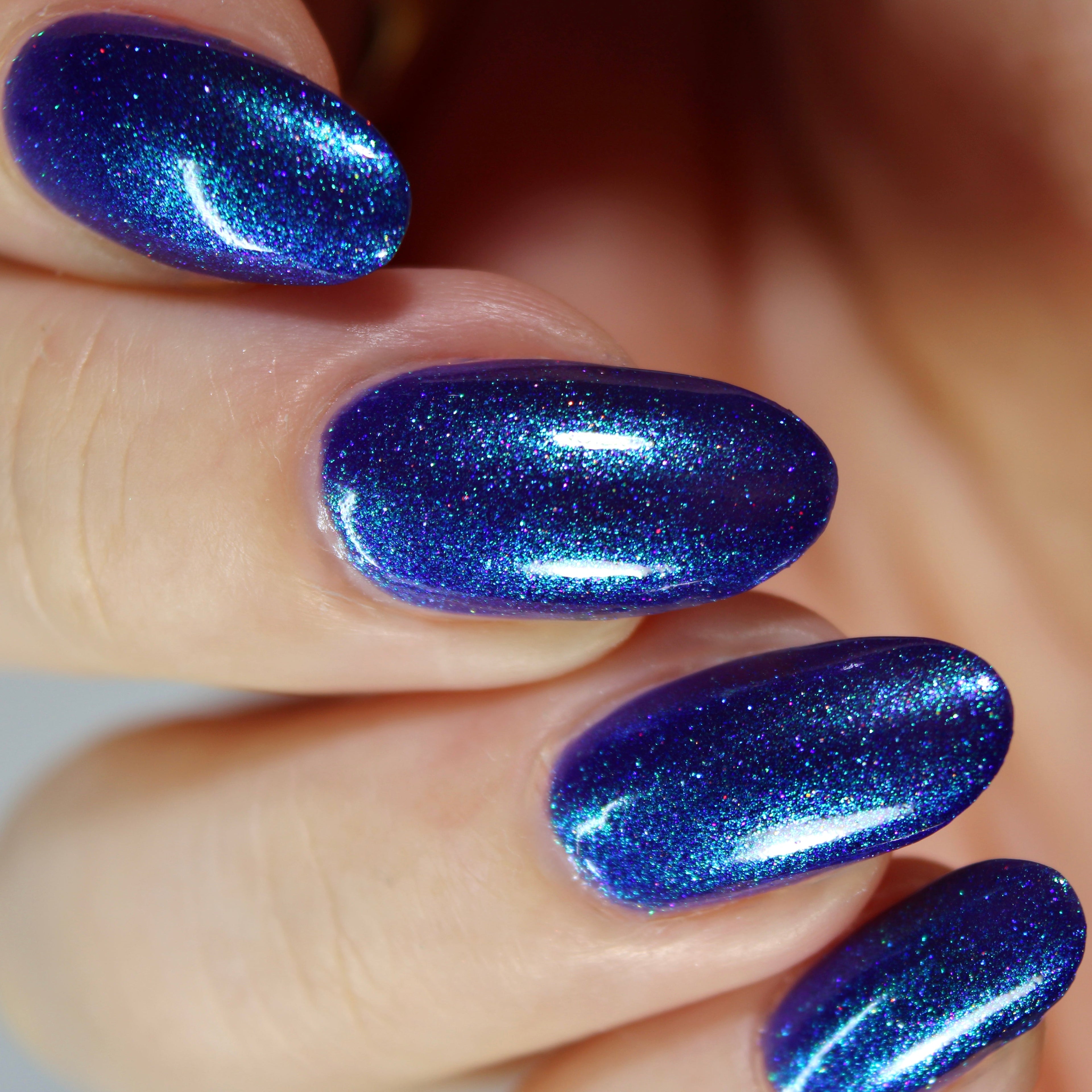 Sylvanclaw | Midnight
