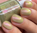 Sweet & Sour Lacquer | Ducky
