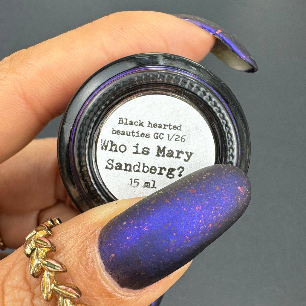 Sassy Sauce Polish | Who is Mary Sandberg?