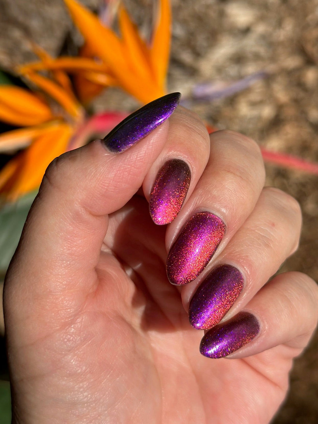 Sassy Sauce Polish | Fierce Mojo