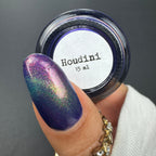 Sassy Sauce Polish | Houdini