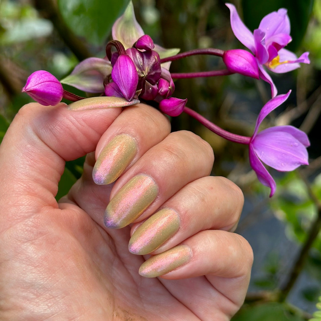 Sassy Sauce Polish | High Jinx