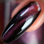 Sassy Sauce Polish | Wicked sorcery