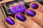Sassy Sauce Polish | Eccentric