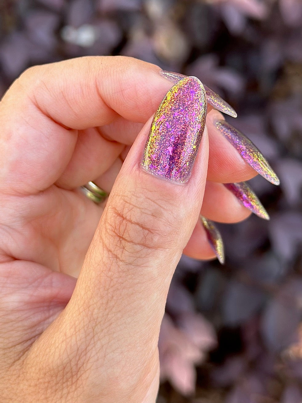 Sassy Sauce Polish | Stir the pot