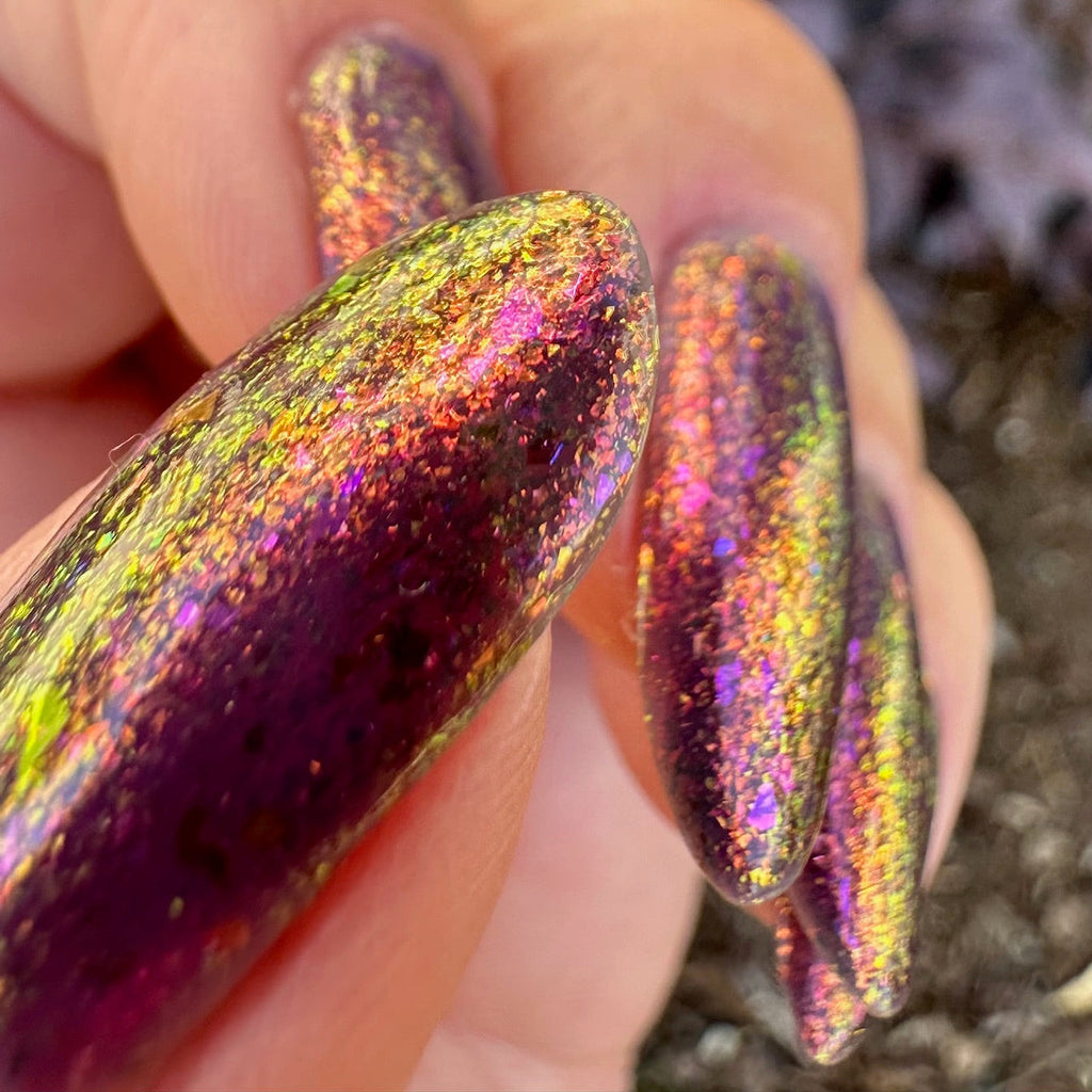 Sassy Sauce Polish | Stir the pot