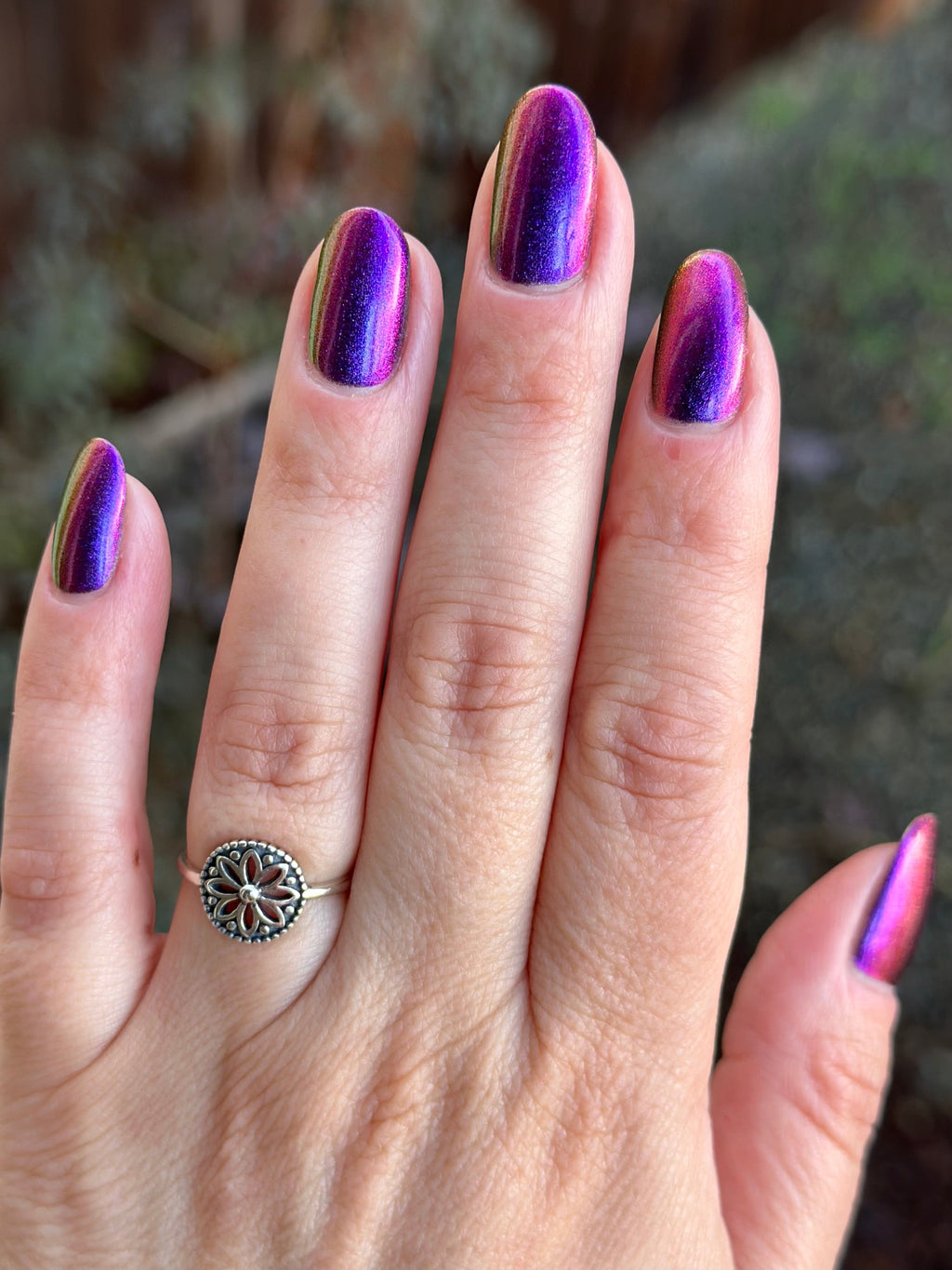 Sassy Sauce Polish | Eccentric