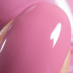 PI Colors | Pink Biscotti.462