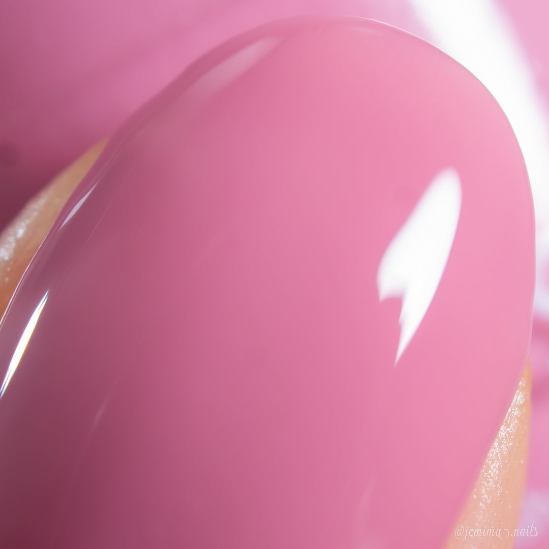 PI Colors | Pink Biscotti.462