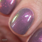 Stella Chroma | Steek