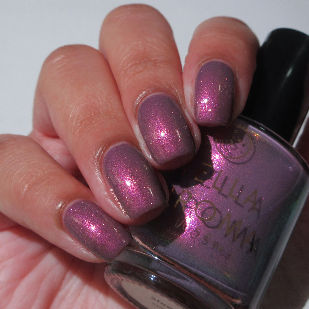 Stella Chroma | Steek