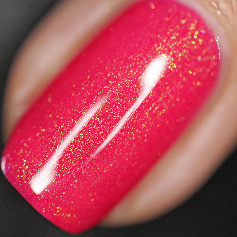 Stella Chroma | Roses Are Free