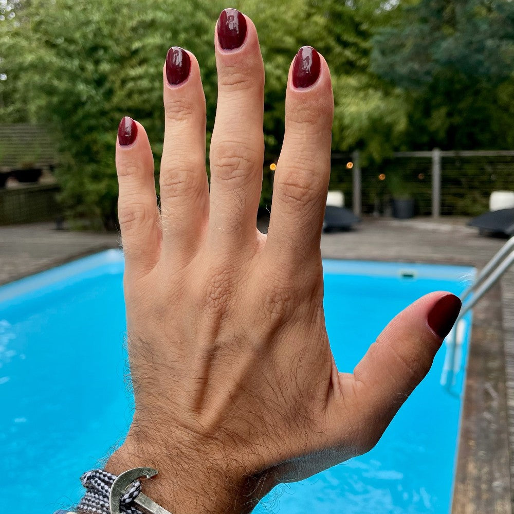 Stella Chroma | Never Fall-ter