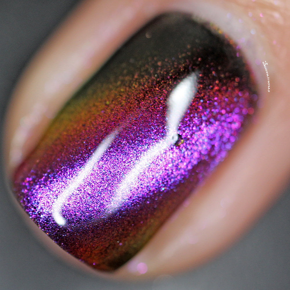 Sassy Sauce Polish | Now and Zen
