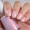 PI Colors | Snickerdoodle.405