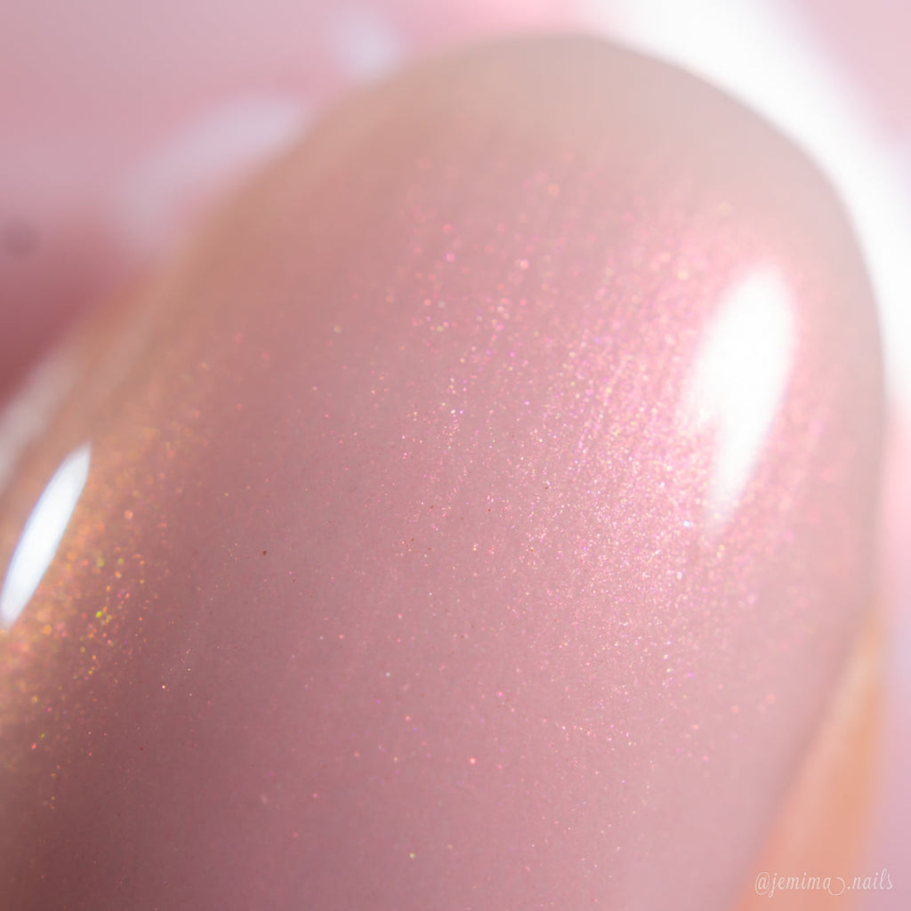 PI Colors | Snickerdoodle.405
