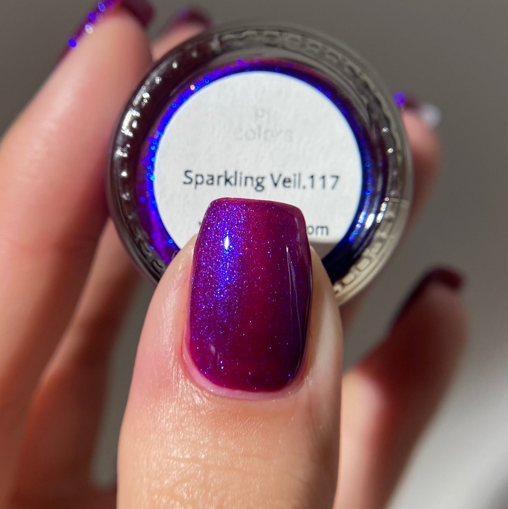 PI Colors | Sparkling Veil.117