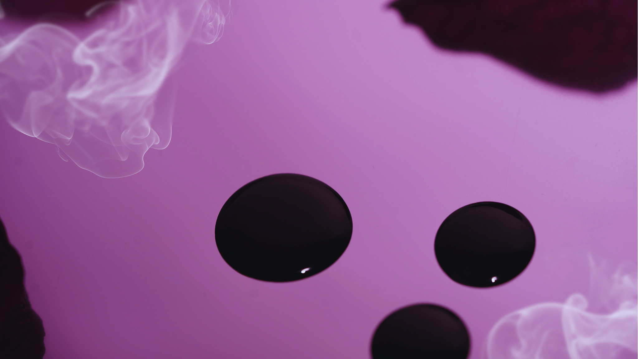 Haunted Polish | GOTH