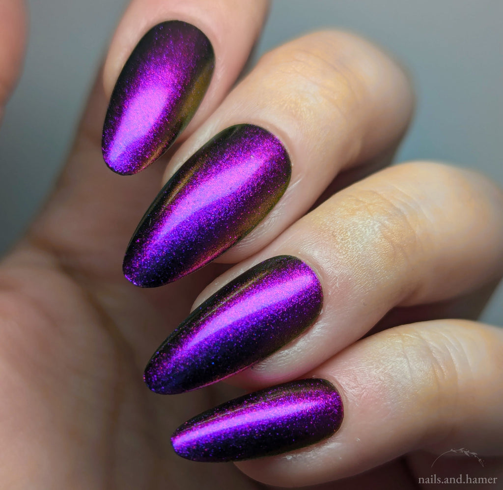 Sassy Sauce Polish | Eccentric