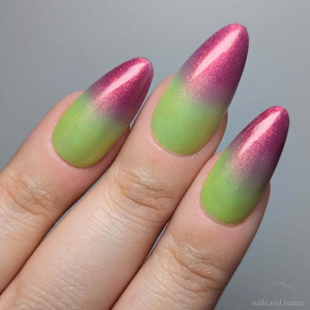 Sassy Sauce Polish | Anti Venom