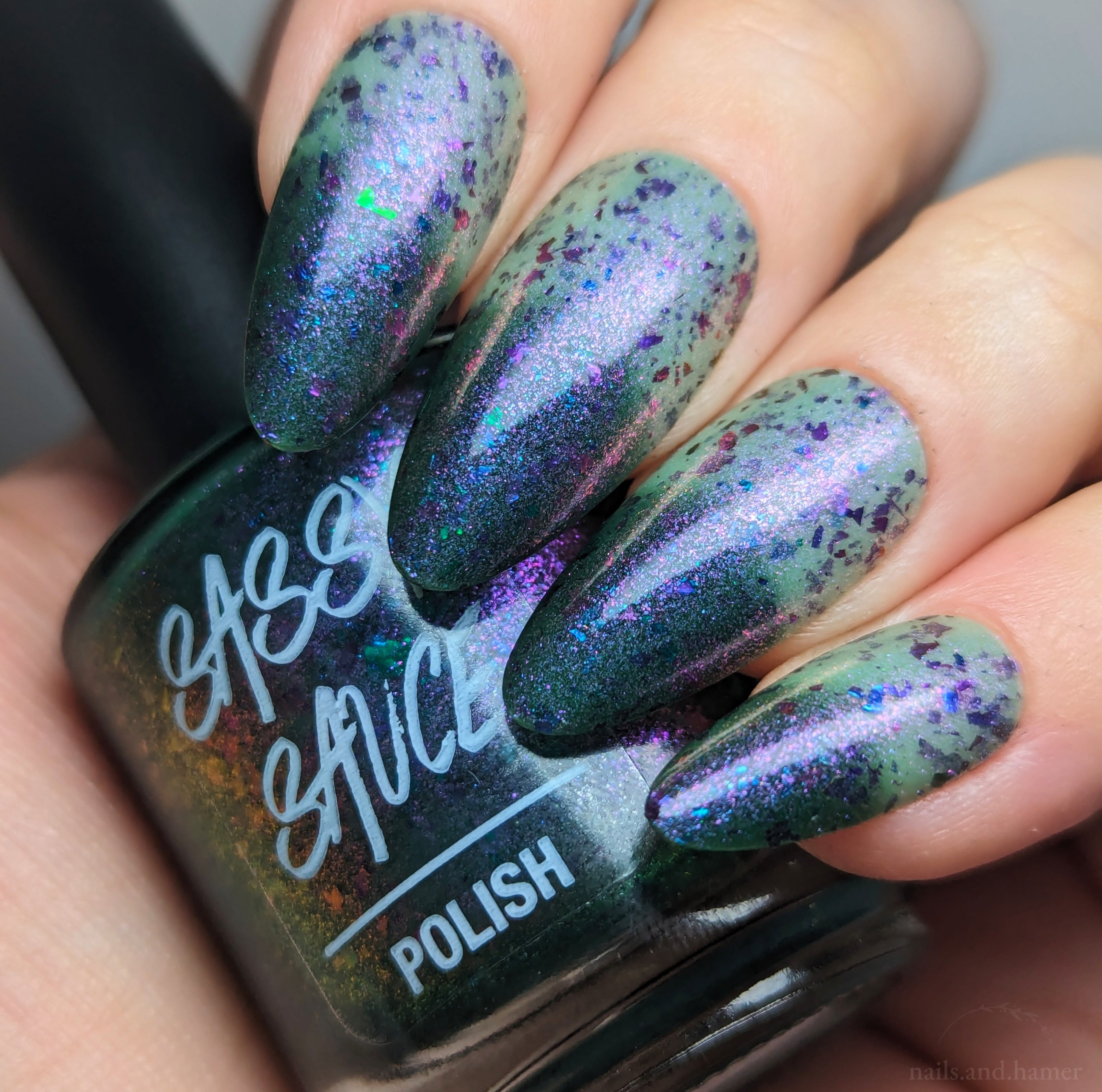 Sassy Sauce Polish | It's a big dill