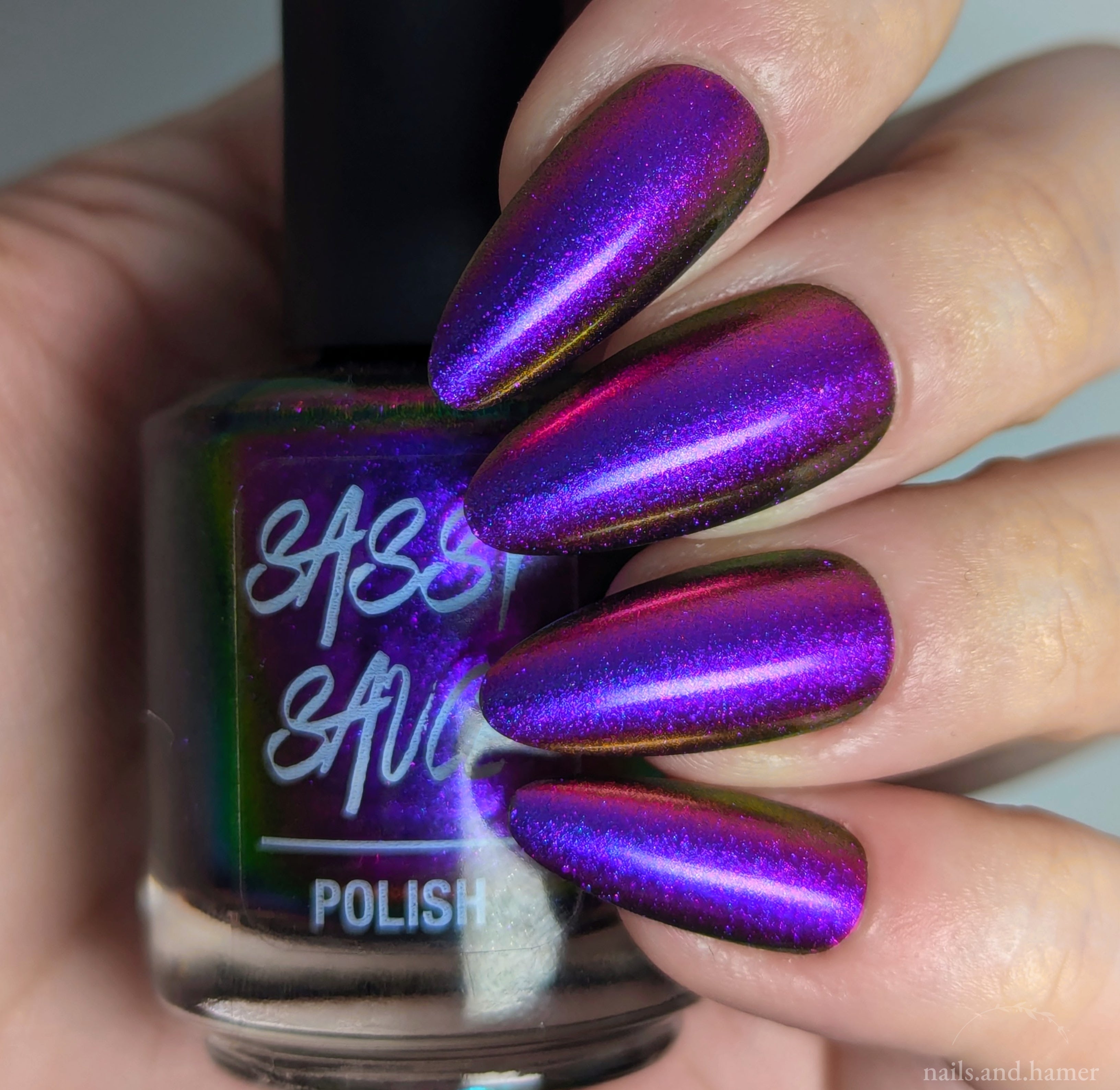 Sassy Sauce Polish | Eccentric