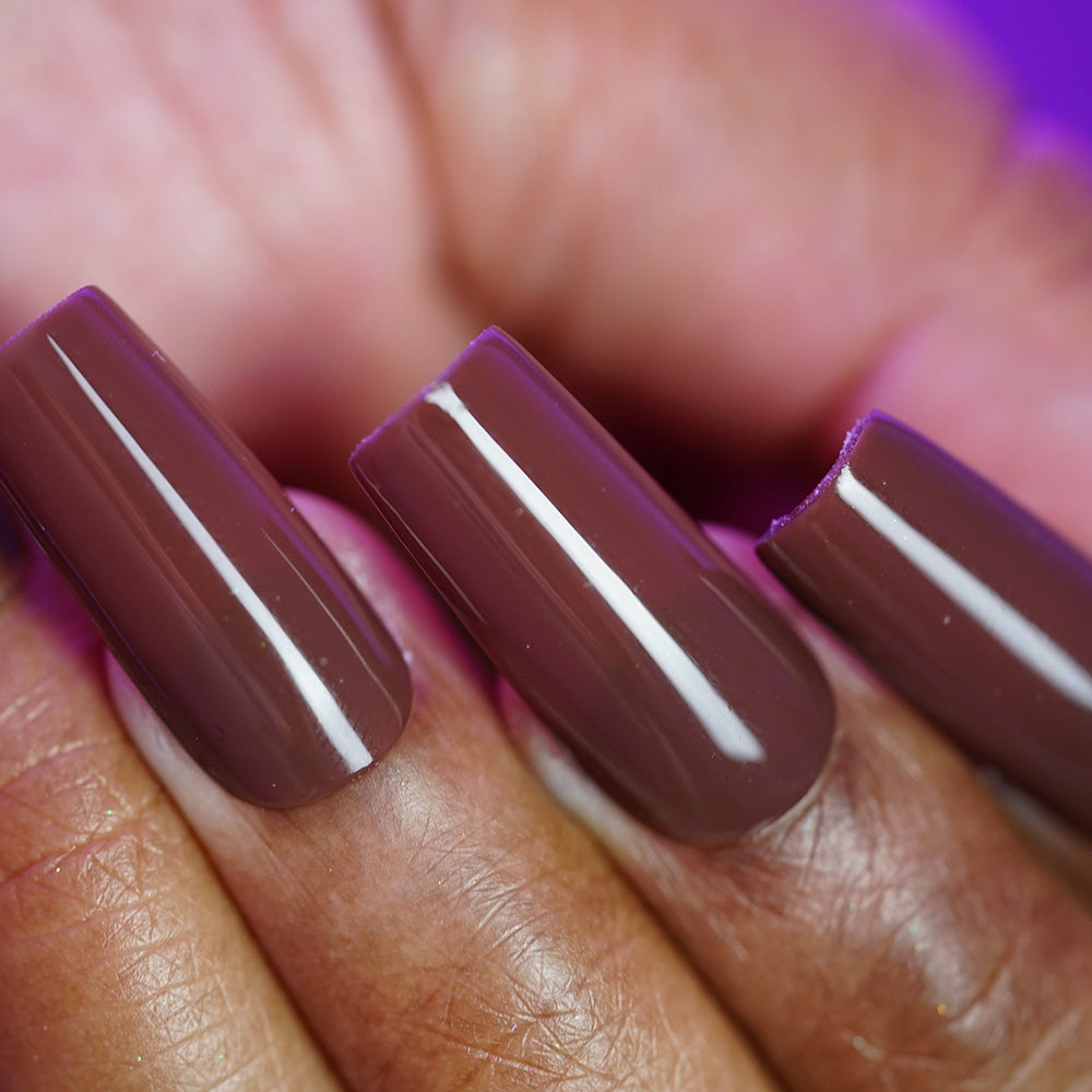 PI Colors | Chocolate Turtle.411